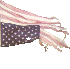 tattered US flag