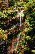  animated Waterfall photo
