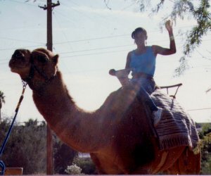 camel