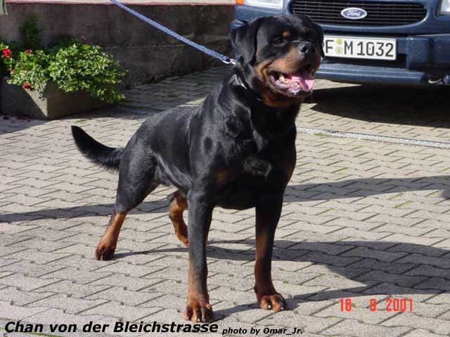 Chan von der Bleichstrasse