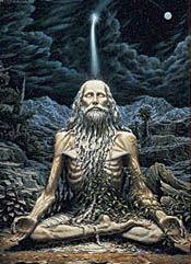 Wise seer chooses right time for every activity