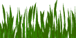 Grass1.gif (1872 bytes)