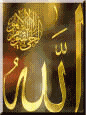 Image24.gif (7468 bytes)