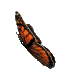 bflysclr01.gif (4765 bytes)