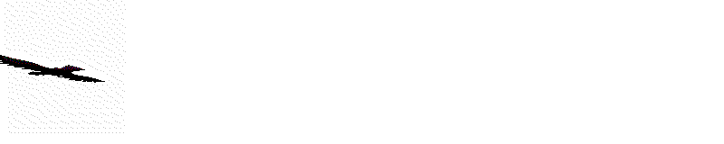 birdp1x1.gif (25942 bytes)