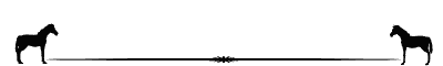 divhorse_BW_md_wht.gif (7259 bytes)
