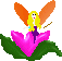 fairyafairy2.gif (8088 bytes)
