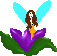 fairyafairy4.gif (7273 bytes)