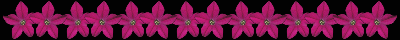 flowerbar.gif (7872 bytes)