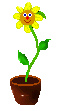 flowerdancflow(1).gif (4100 bytes)