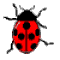ladybug.gif (3951 bytes)