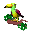 tropical_flap_lg_clr.gif (22281 bytes)