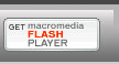 getFlash