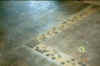 Detail of the concrete floor
