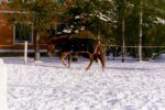 Ja toiseen suuntaan.