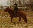 K�ynti�.