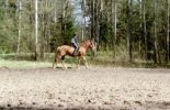 Anu ja Veerdi, k�ynti�.