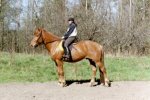 Tuleekohan sielt� joku?