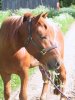 V�lill� vilkaisu ymp�rille ettei vihollinen p��se yll�tt�m��n.