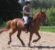Ei saa katsoa ratsastajan ilmett� l�hemp��. ;)