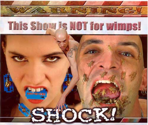Shock king