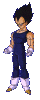 Vegetta18.gif (19064 bytes)