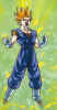 Vegetto02.jpg (14919 bytes)