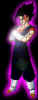 Vegetto05.jpg (15504 bytes)