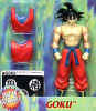 Goku21.jpg (18038 bytes)