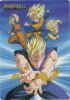 Saiyan22.jpg (178900 bytes)
