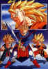 Saiyan25.jpg (44594 bytes)