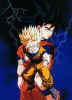 Gohan03.jpg (28829 bytes)