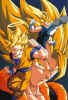 GokuVegetta02.jpg (59880 bytes)