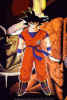 goku10.jpg (78009 bytes)