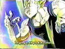 majin01.jpg (69230 bytes)