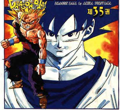 Goku_1.jpg (31111 bytes)