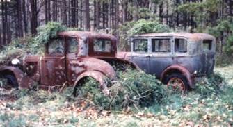 for you i rust