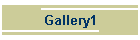Gallery1