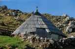 Preskarjeva koa - najstareja koa na Veliki planini