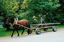 Panjewagen