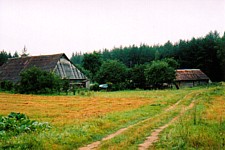 De boerderij