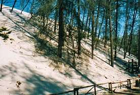Duinen bij Leba
