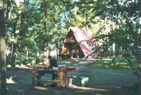 Naar de grote foto