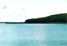 Darginmeer