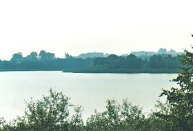 Saletmeer
