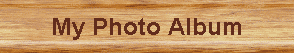 My Photo Album
