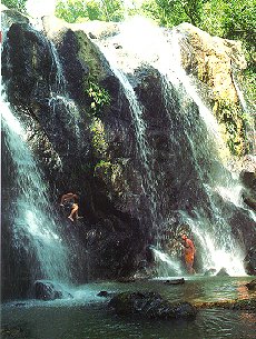 Tobago Waterfalls