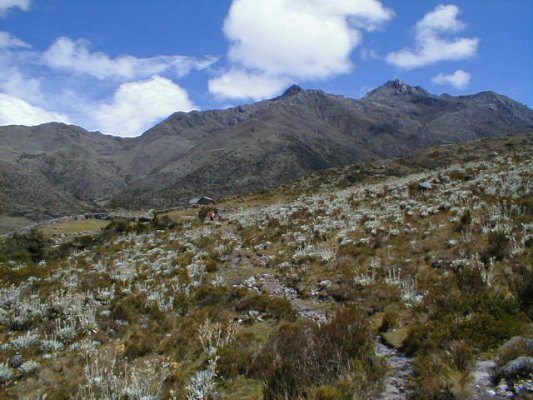 La primera casa