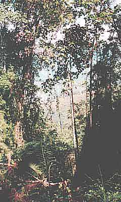 Vista del valle