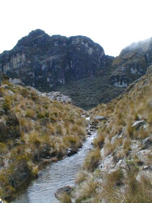 Desaguadero